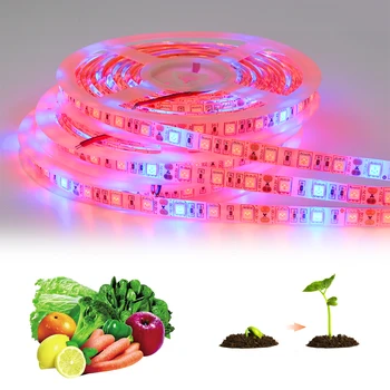 Полный спектр Tuya Smart Wifi LED Grow Lamp 5M Светодиодная лента Фито-световая лента для тепличных гидропонных растений Alexa Google Home